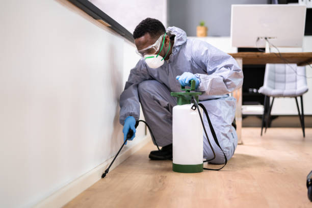 Reliable Eden Prairie, MN Pest Control Solutions